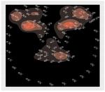 Grammatical Facial Expression Recognition